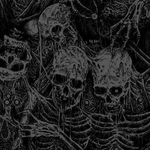 Meet your Posher, Maddie